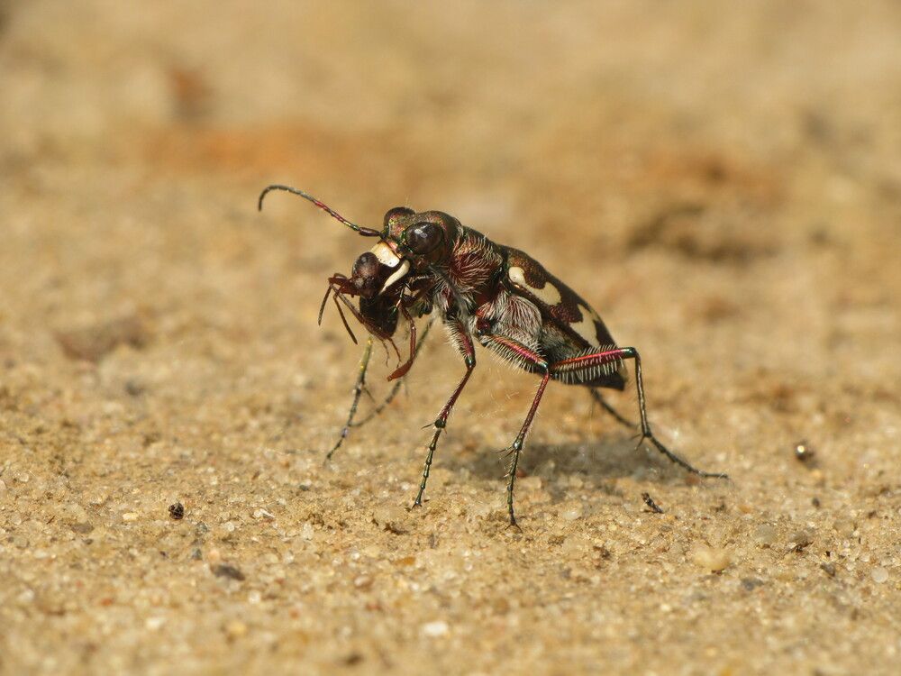 Photograph by Юрий Соколков