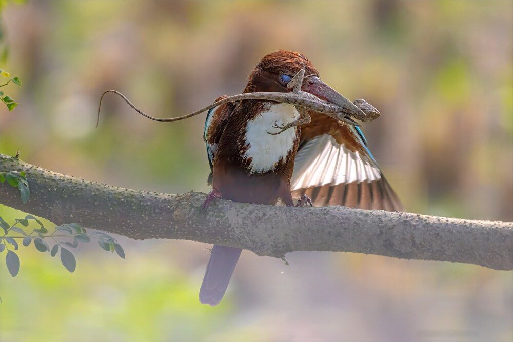 Photograph by AYANENDU DE