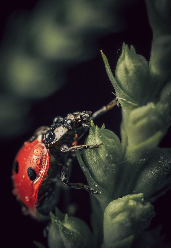 Photograph by Константин Яковлев