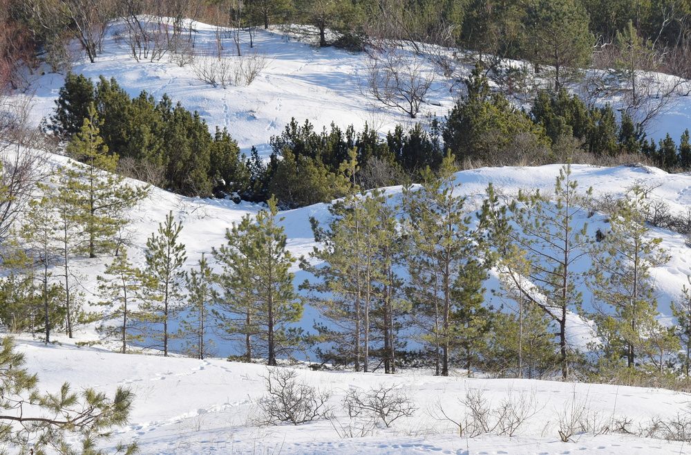 Photograph by Aleksandra Bistrova