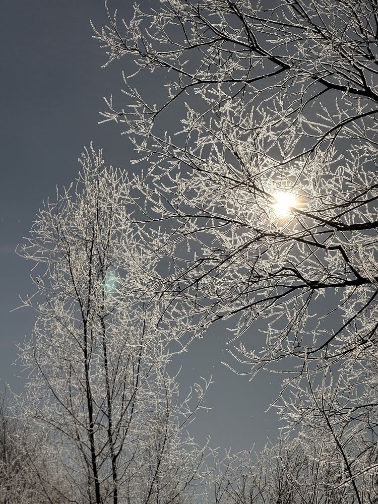 Photograph by Анна