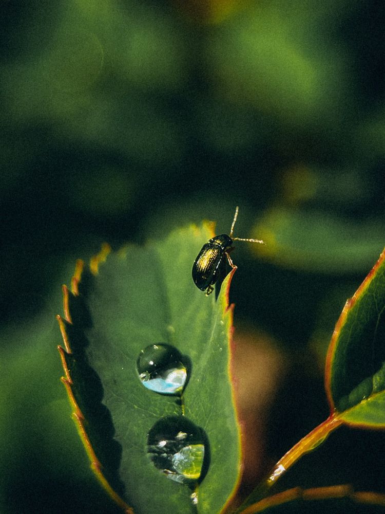 Photograph by Елена Михалева