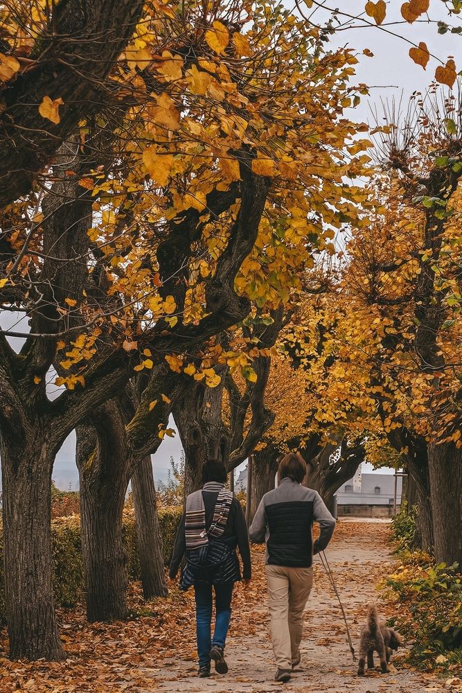 Photograph by Светлана