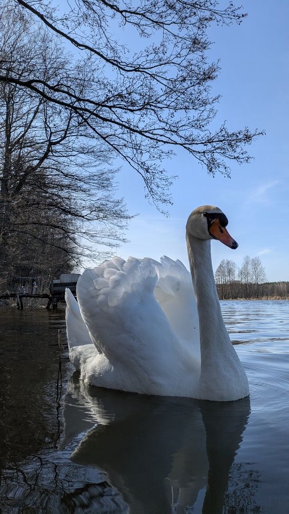 Photograph by Ольга и Андрей Трухан