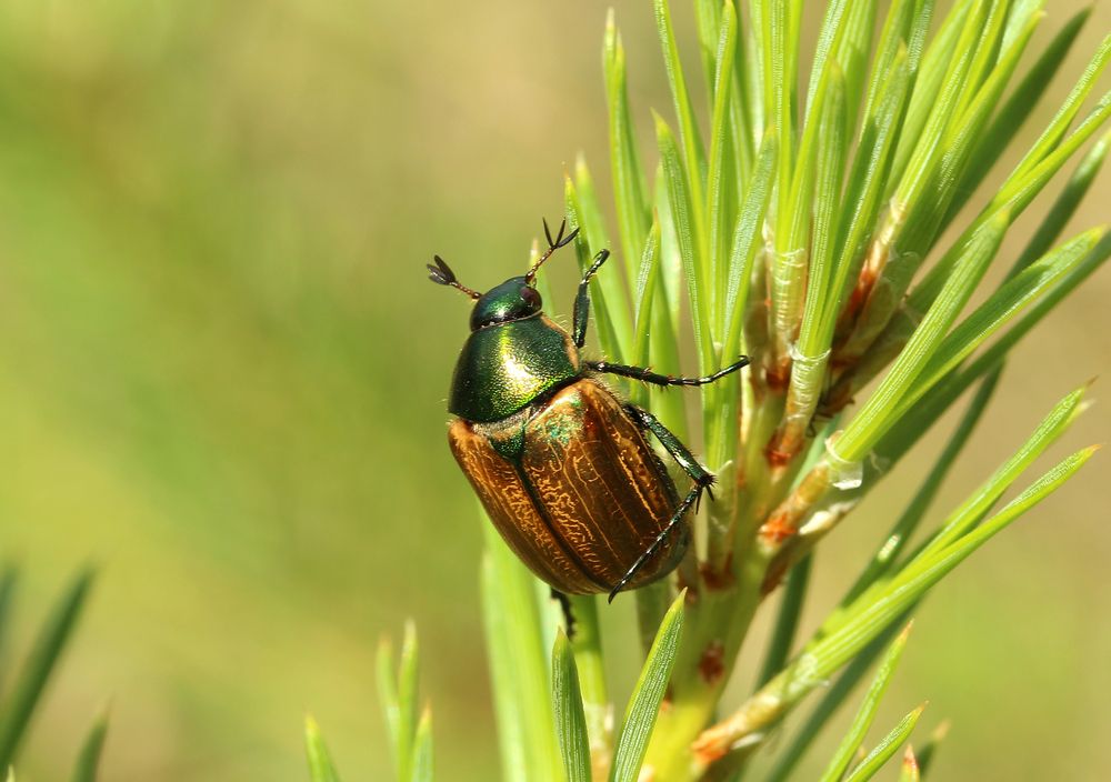 Photograph by Юрий Соколков