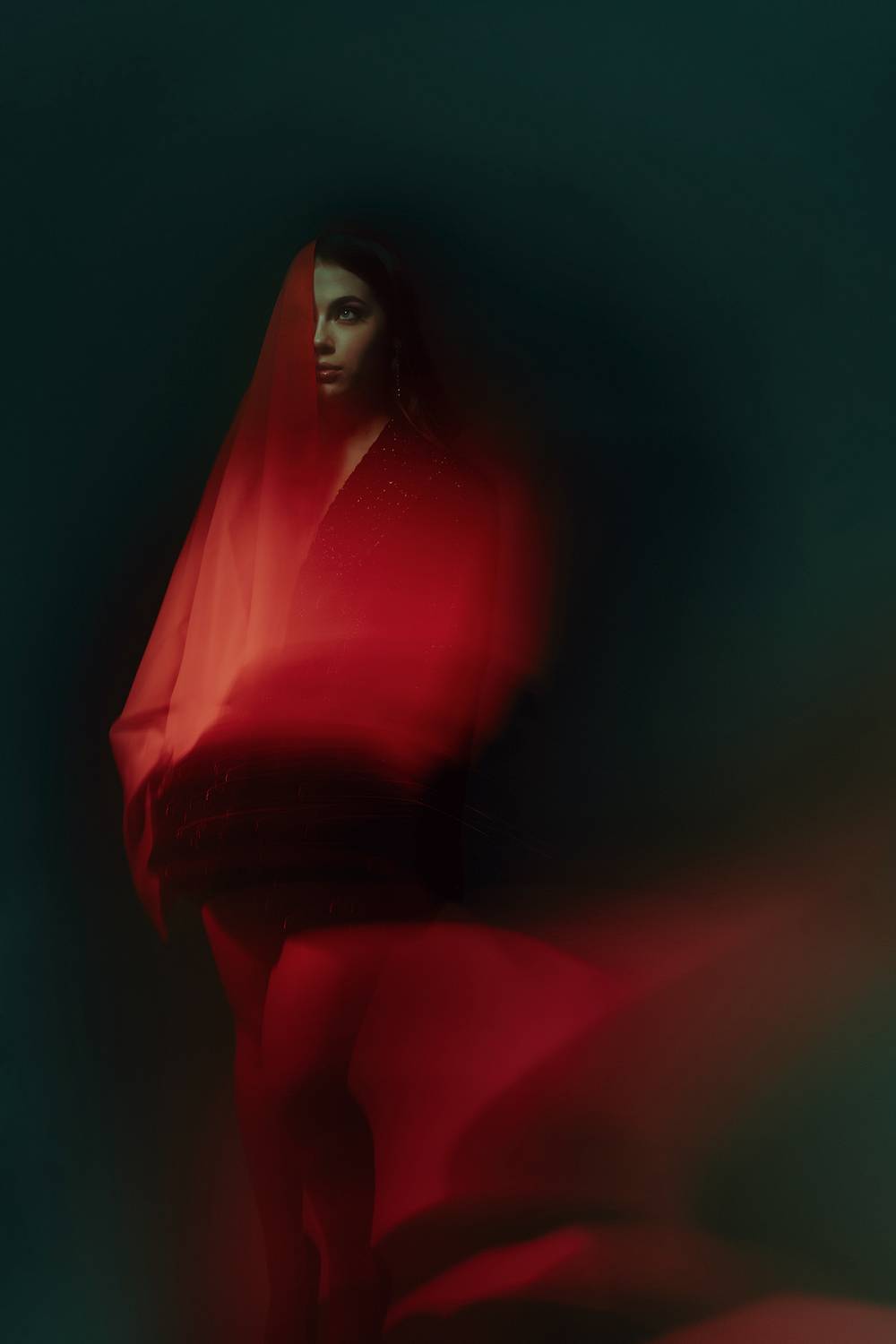 Photo #13219811