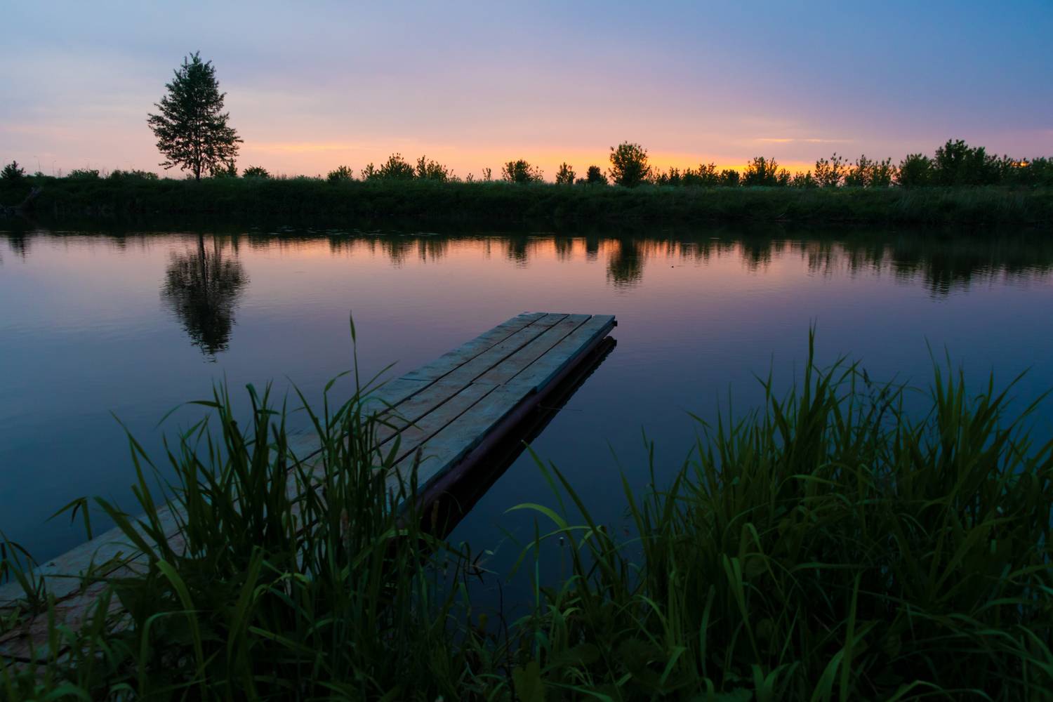 Фотография #13219821