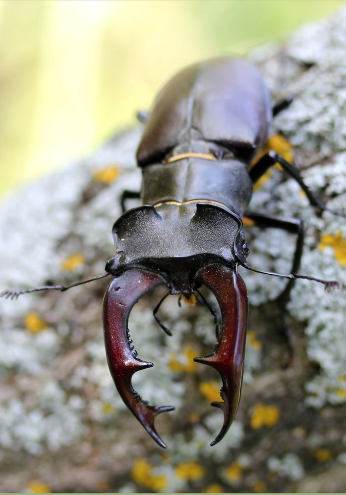 Photograph by Юрий Соколков