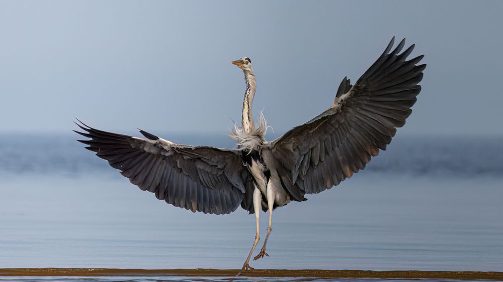 Ба! Какие люди!