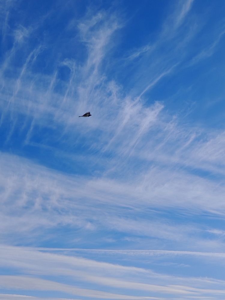 Photograph by Анастасия