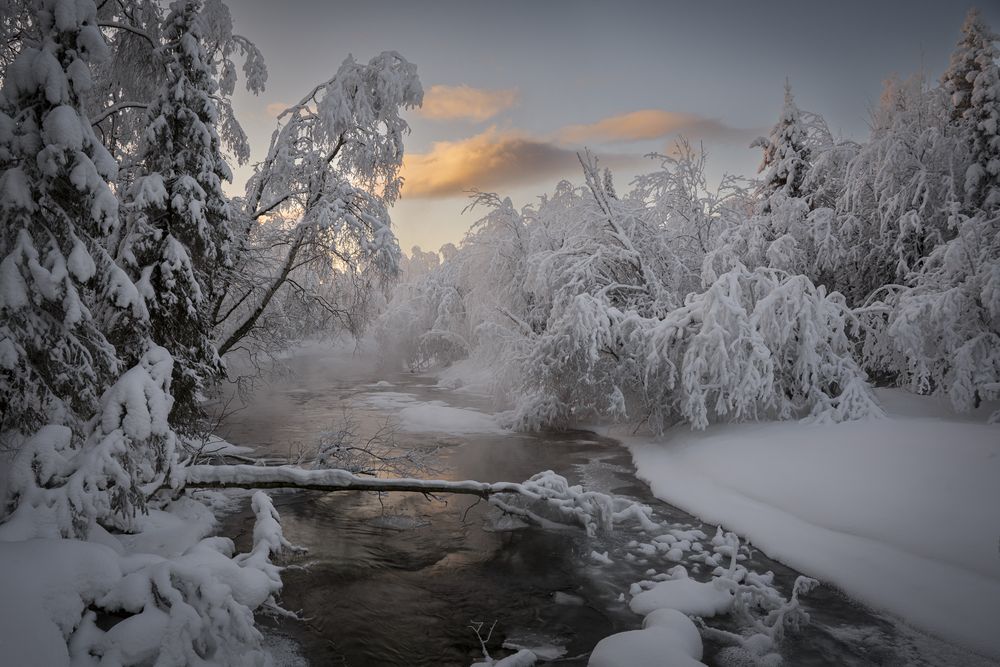 Photograph by Mikhail Ioannisian