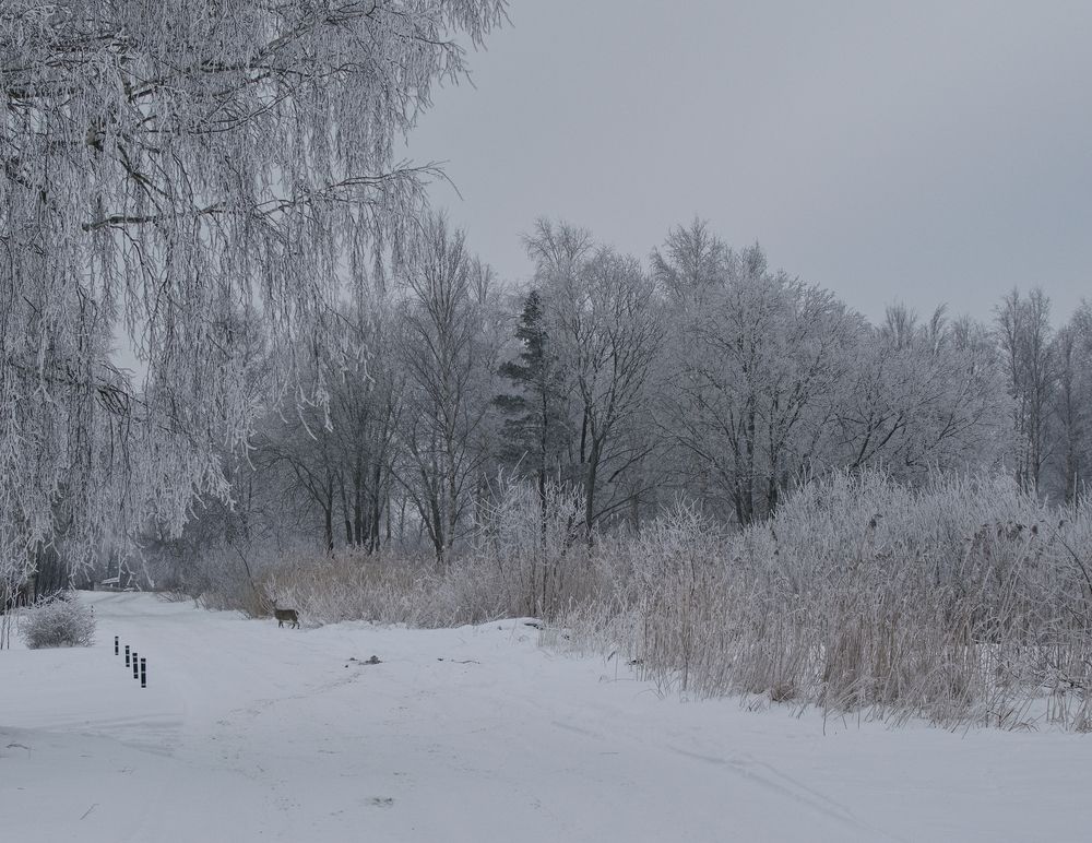 Photograph by Aleksandra Bistrova