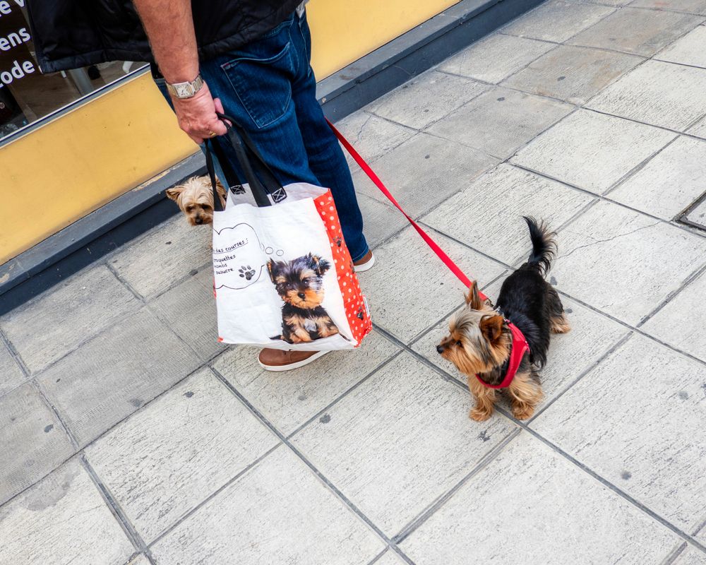 Photograph by Дмитрий Дигилин