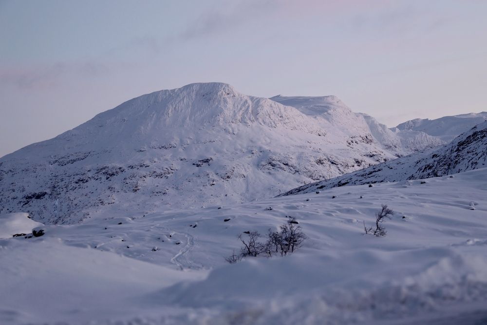 Photograph by Yong Lei van Barlingen
