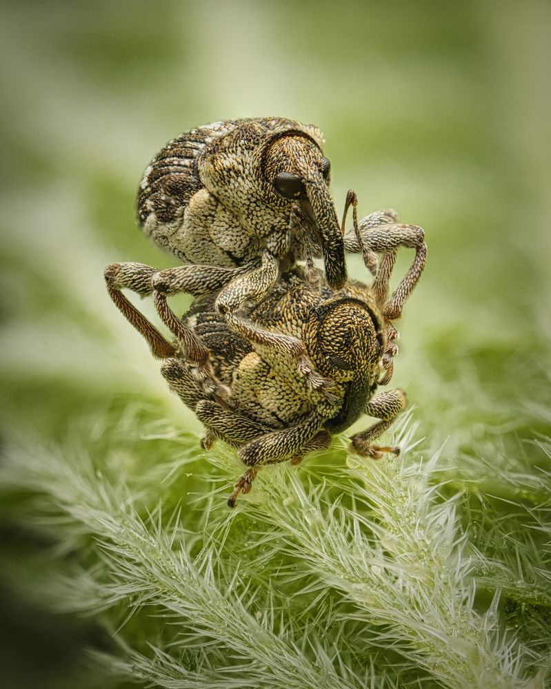 Photograph by Евгения Прокопович