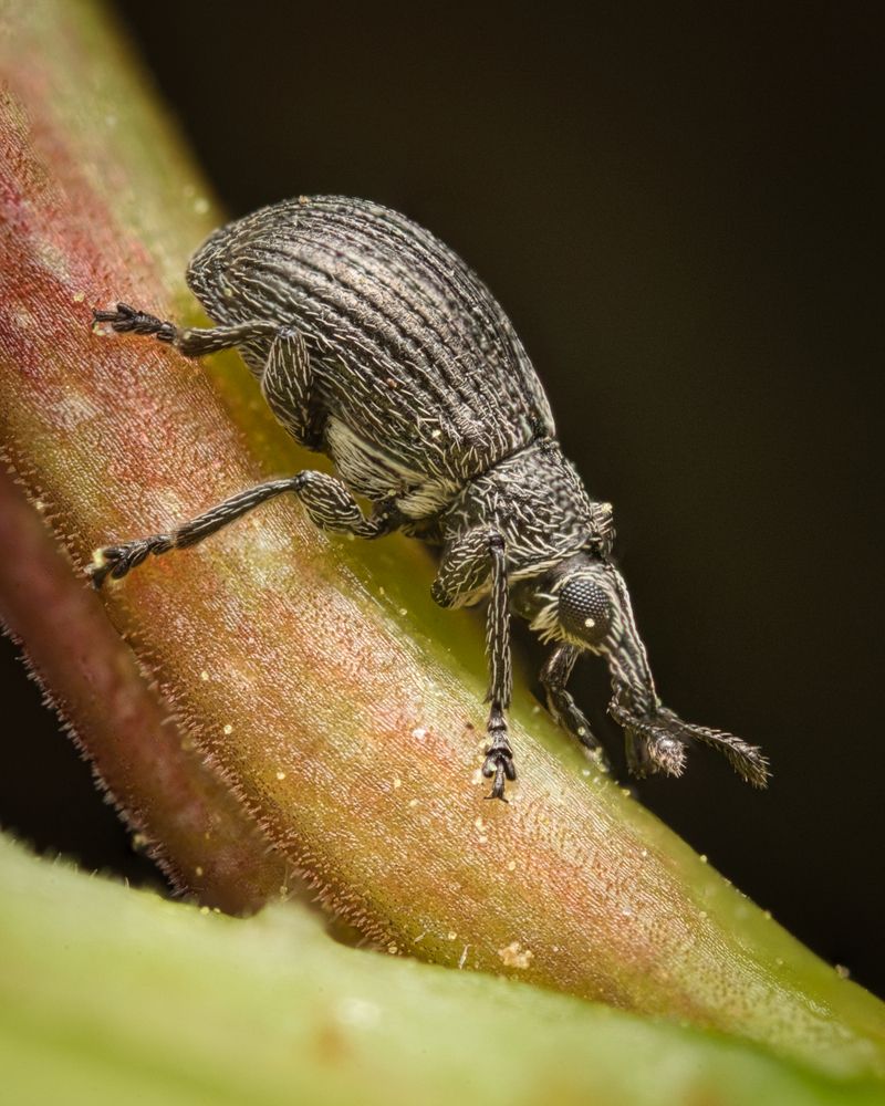 Photograph by Евгения Прокопович