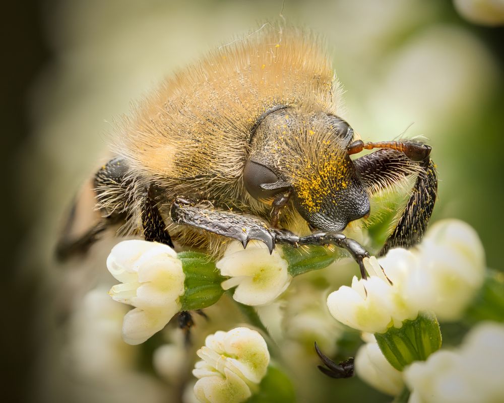 Photograph by Евгения Прокопович