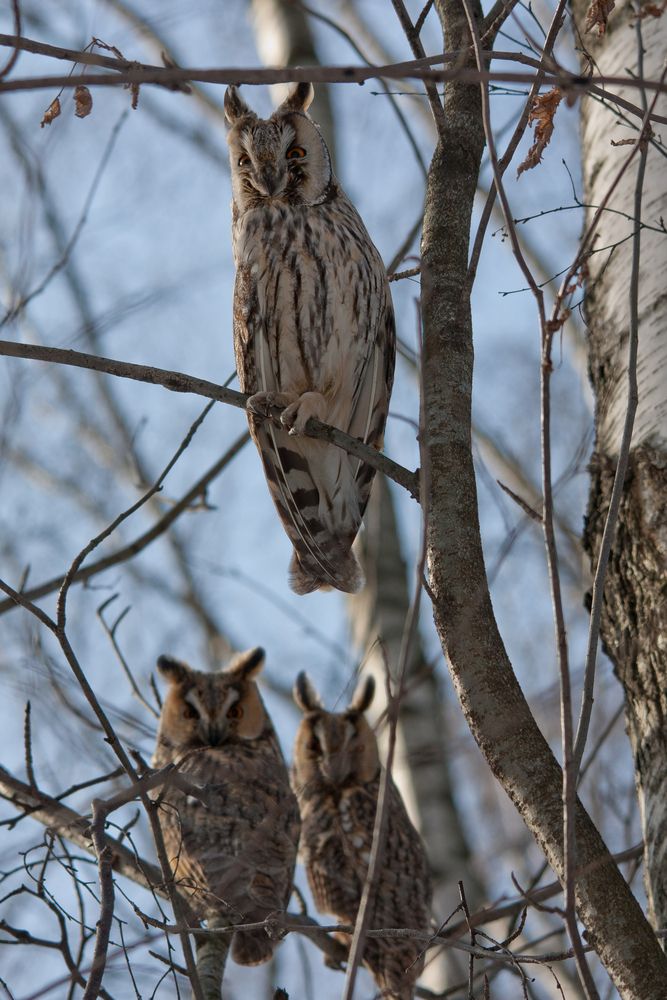 Photograph by Юрий Соколков