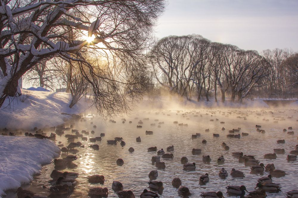 Photograph by Анастасия Северюхина
