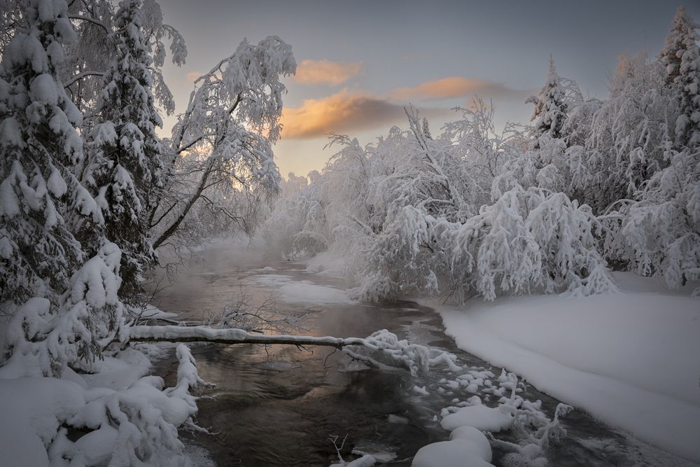 Photograph by Mikhail Ioannisian