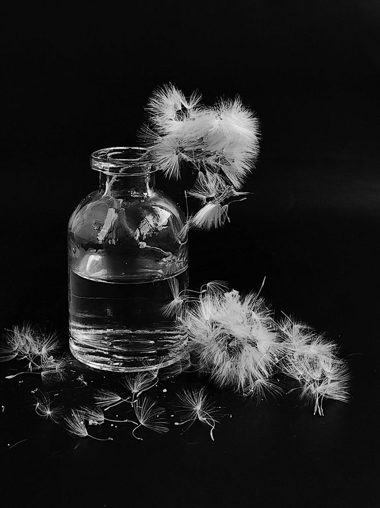 Photograph by Лолита Богачева
