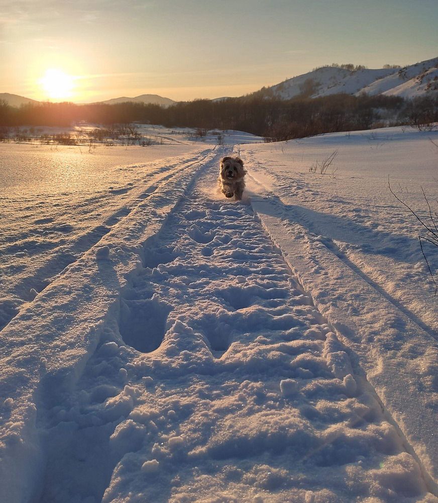 Photograph by Ирина Яук