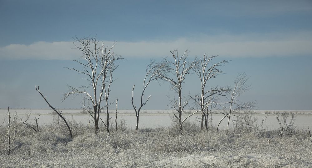 Фотография автора Дарья Юсарева