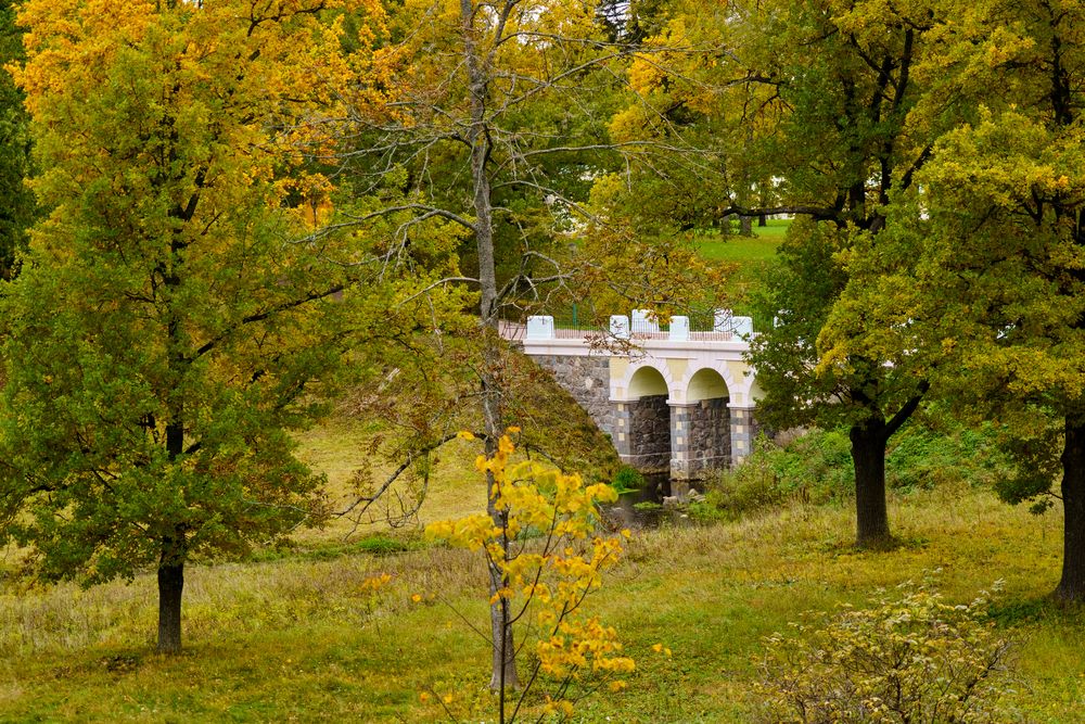 Photograph by Владимир Рогулькин
