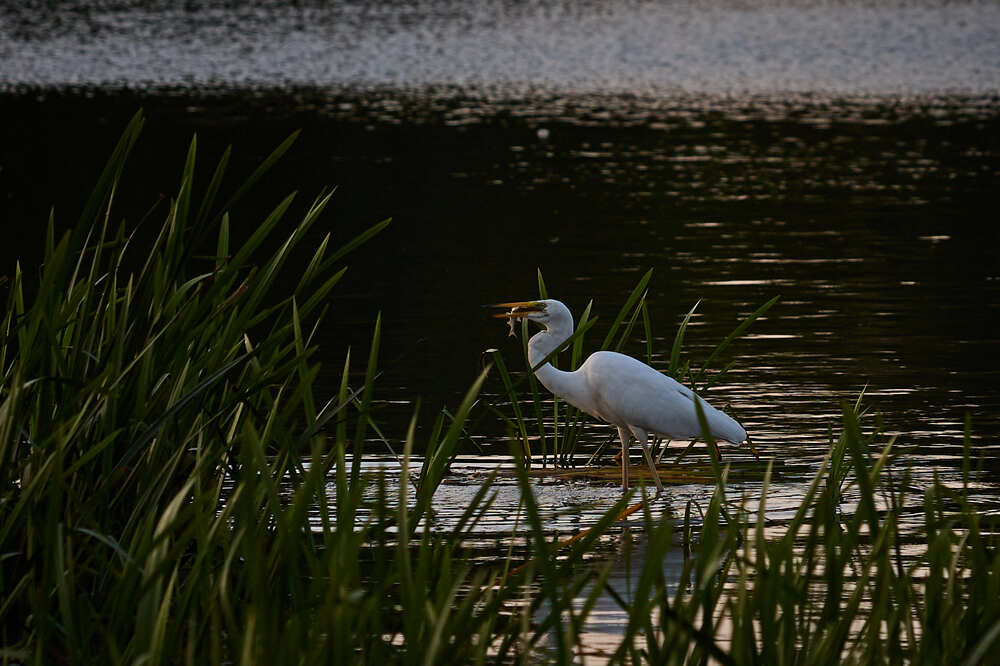 Photograph by Сергей Фадин