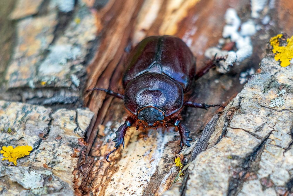 Photograph by Анатолий Чесноков