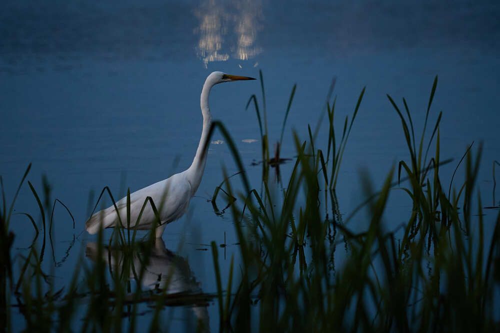 Photograph by Сергей Фадин