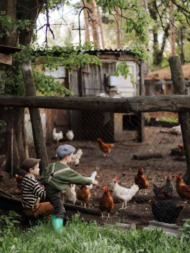 Photograph by Анастасия Кульдишова