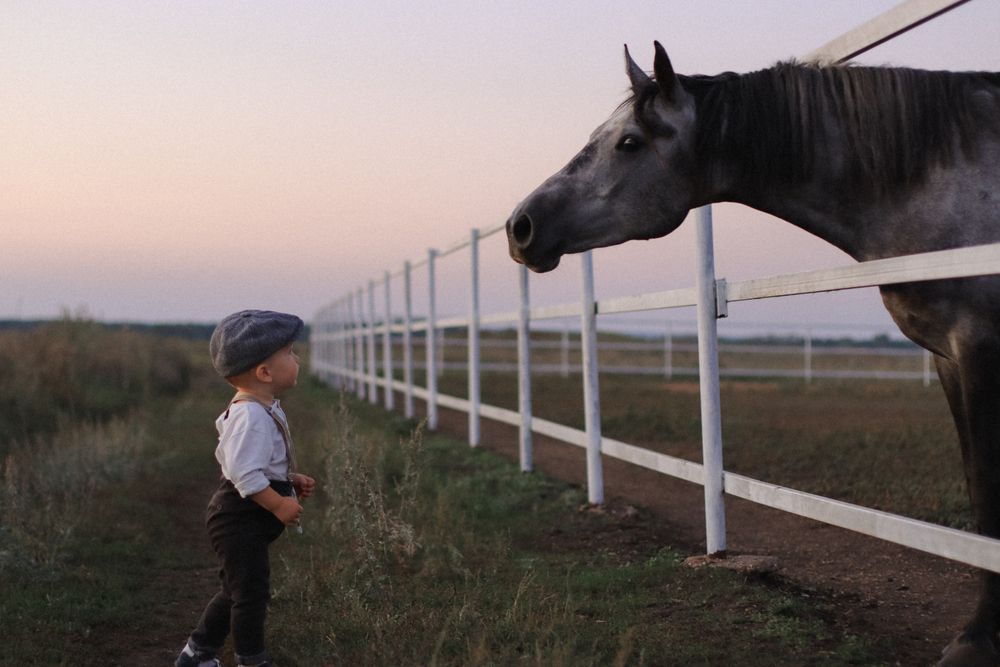 Photograph by Анастасия Кульдишова