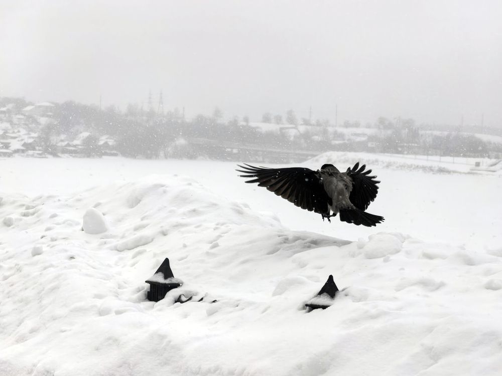Фотография автора Валерий Цуркан