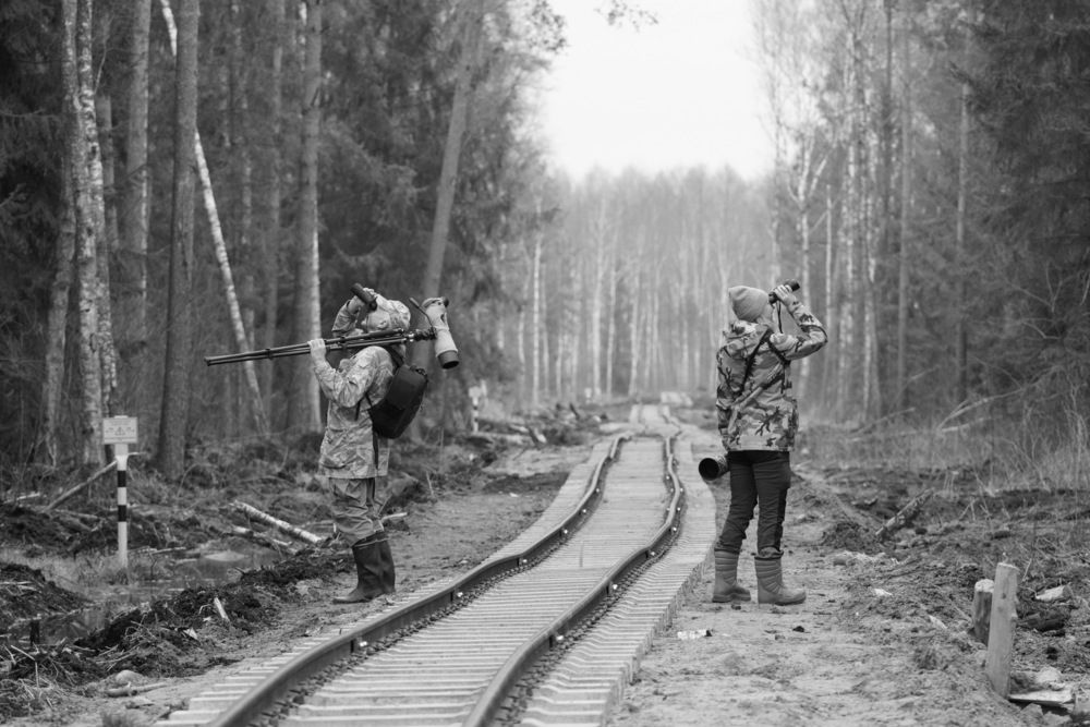 Photograph by Дмитрий Дрозд