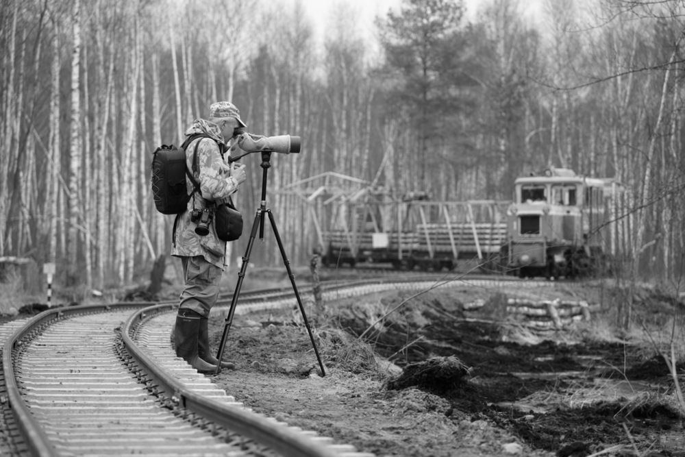 Photograph by Дмитрий Дрозд