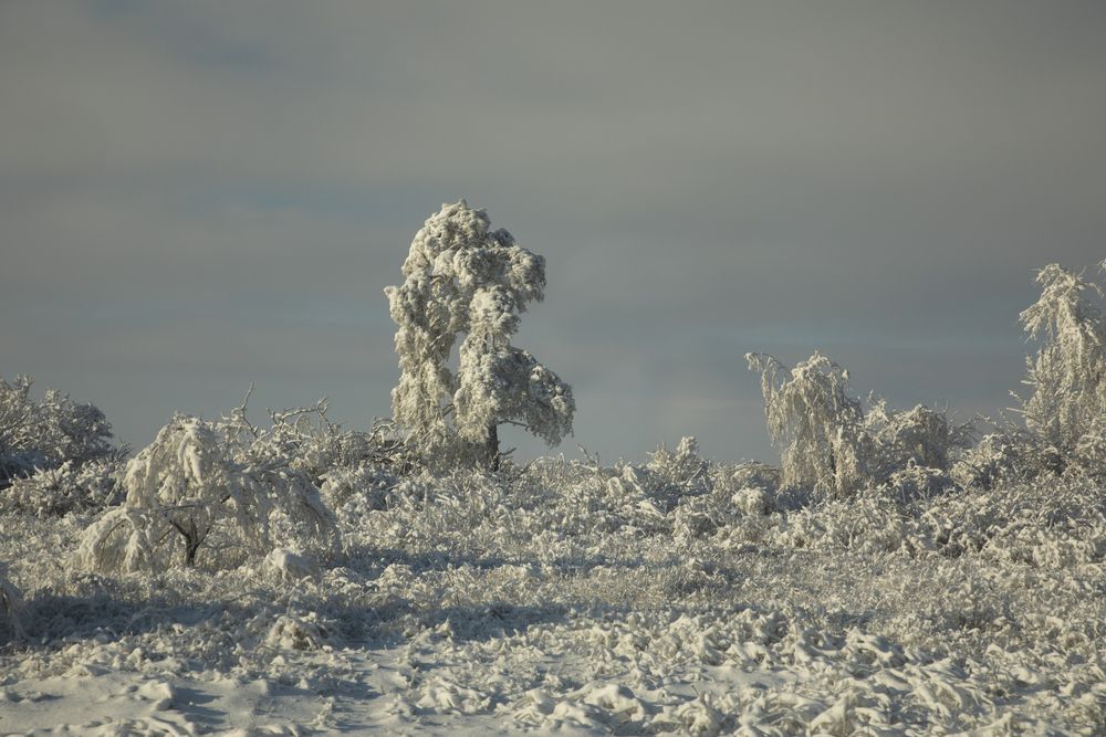 Фотография автора Дарья Юсарева