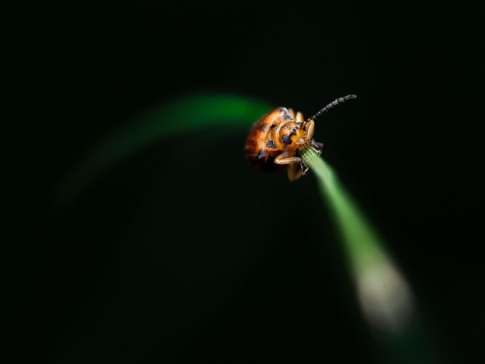 Фотография автора Ryo