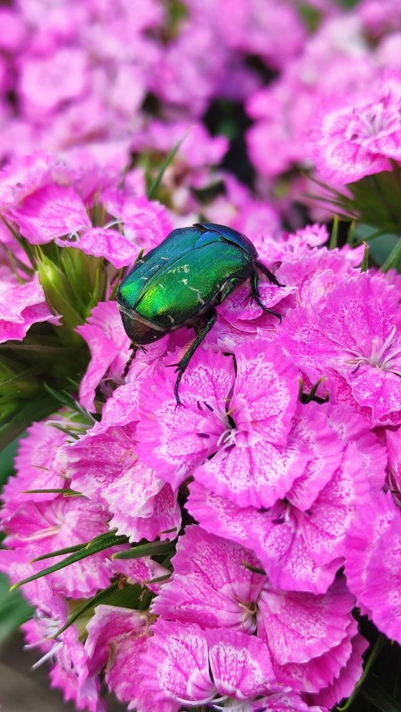 Фотография автора Васильева Ирина