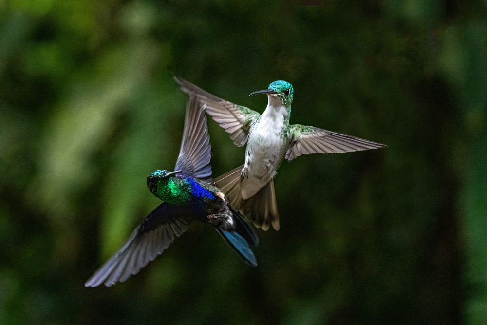 Photograph by Julia A Caesar