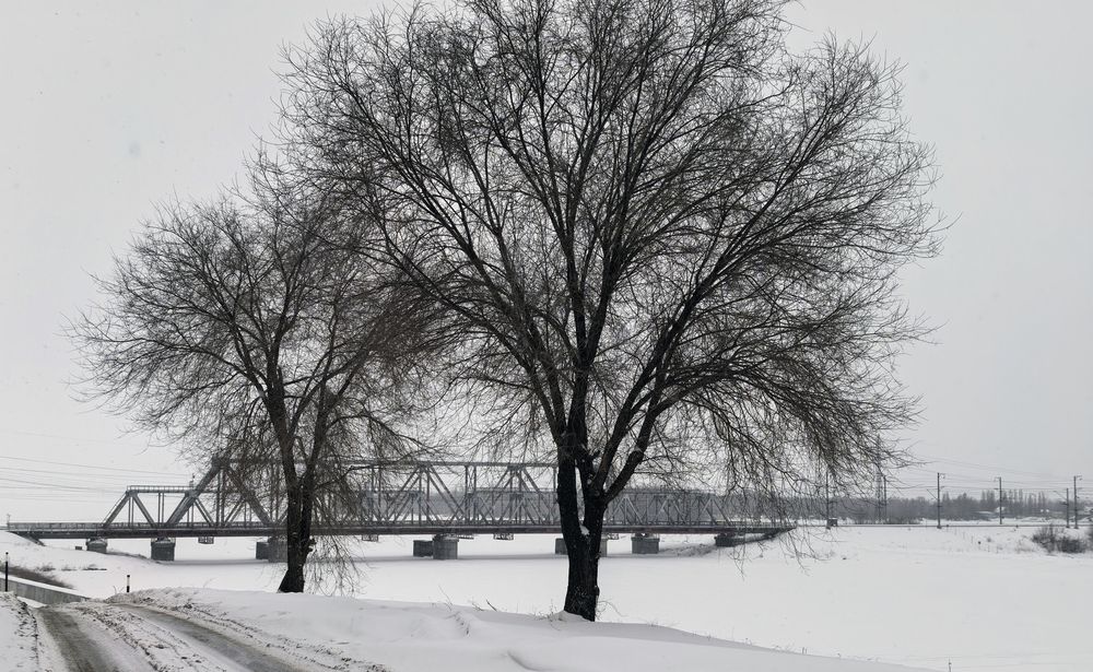 Фотография автора Валерий Цуркан