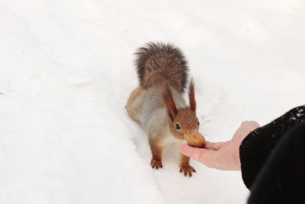 Photograph by Марина Юсупова