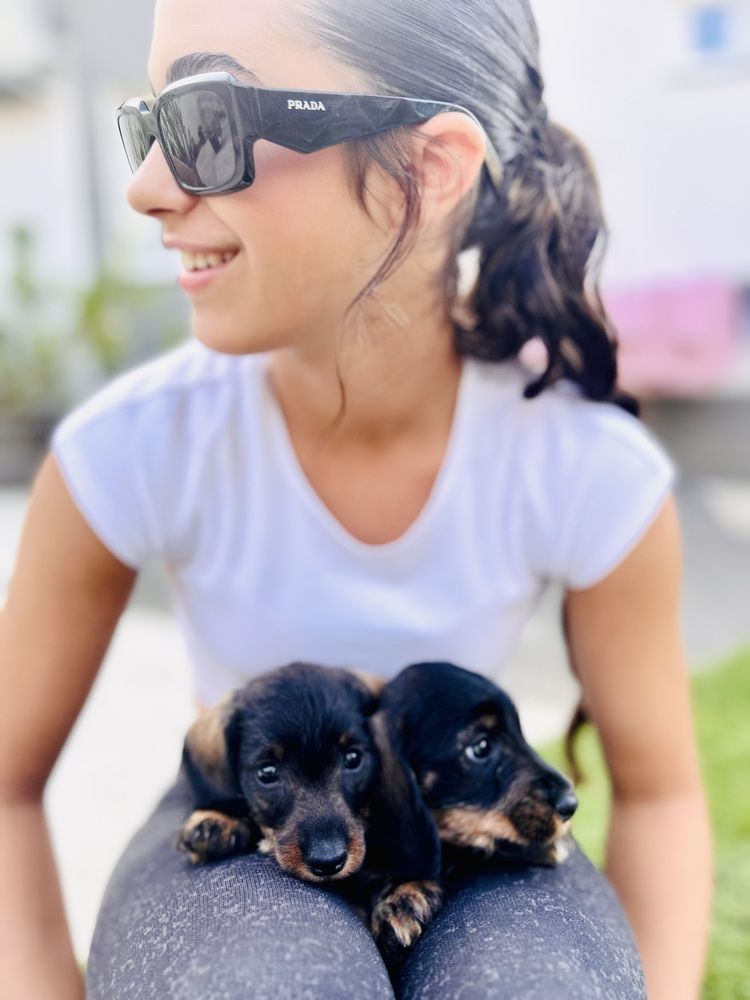 Photograph by Timea Kovacs