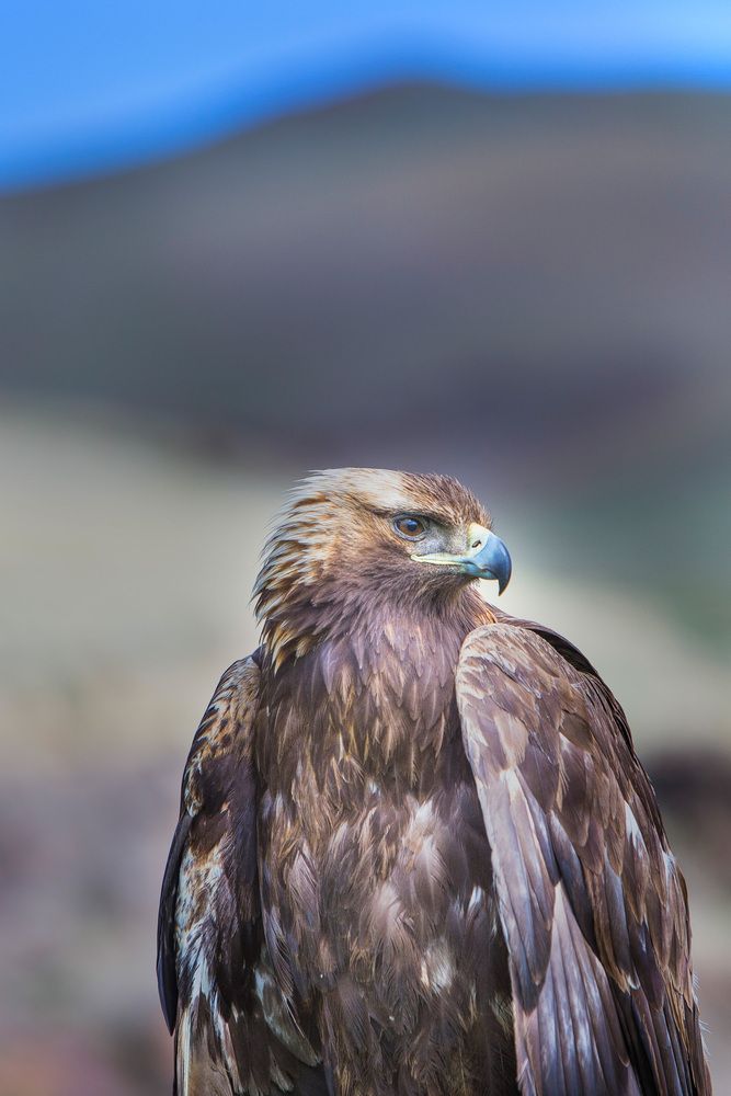 Photograph by Михаил