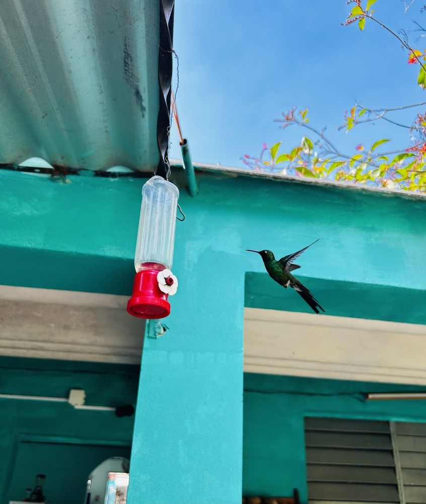 Photograph by Лариса Кошеляевская