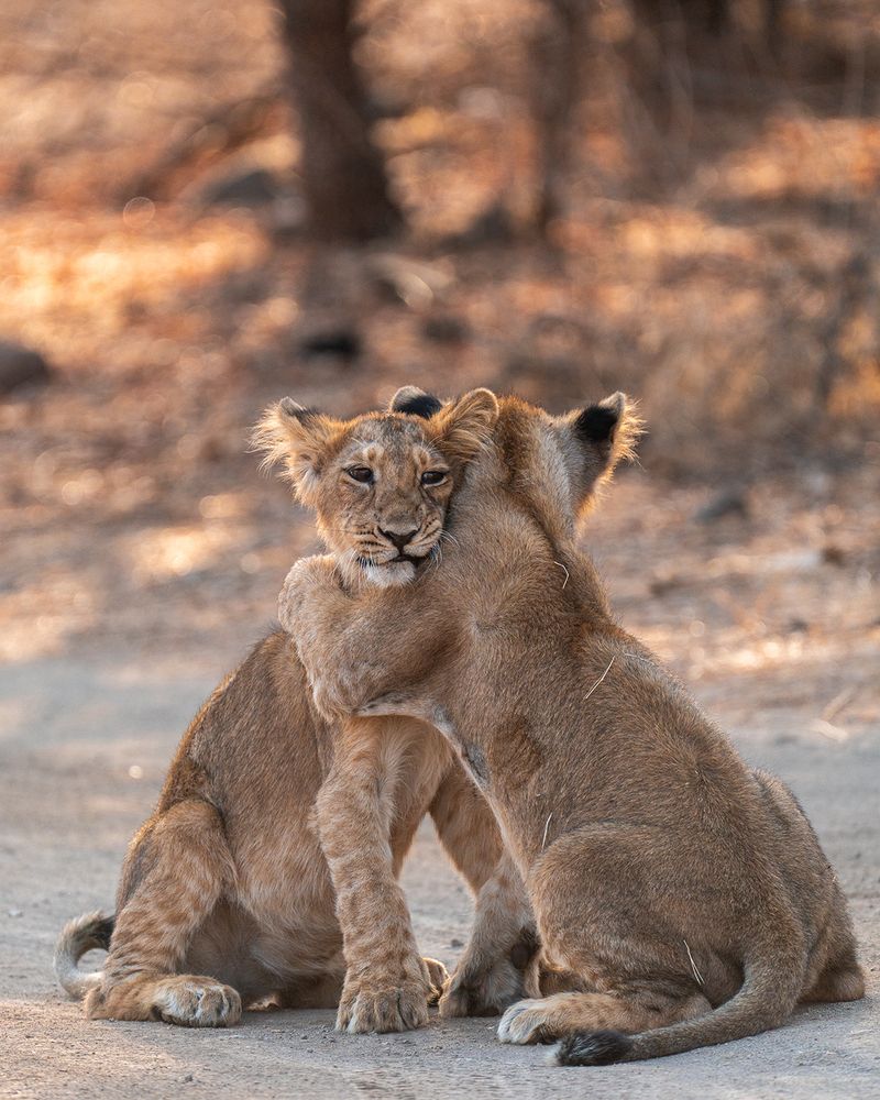 Photograph by Abhishek Kumar