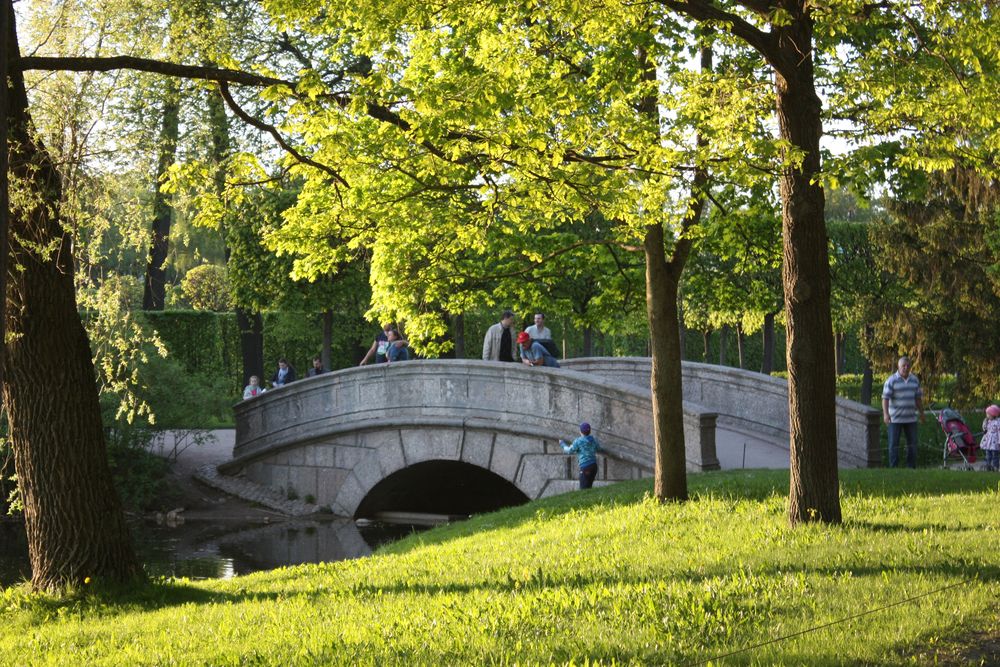 Photograph by Светлана Шубина