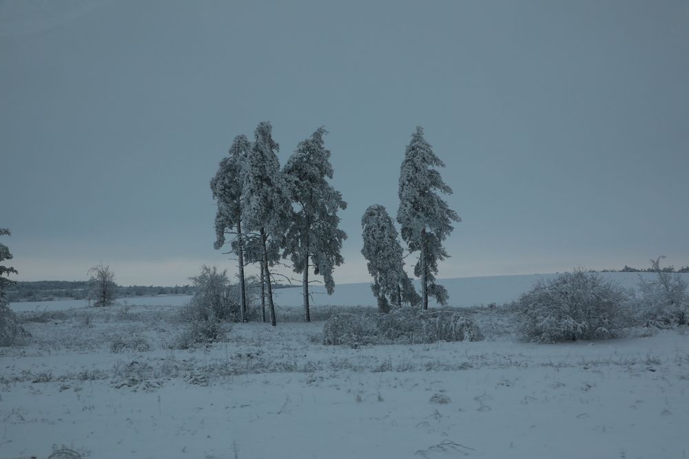 Фотография автора Дарья Юсарева