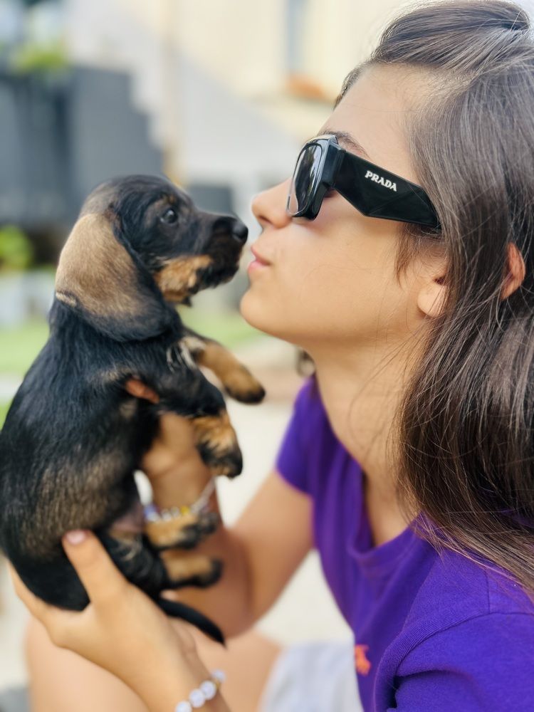 Photograph by Timea Kovacs