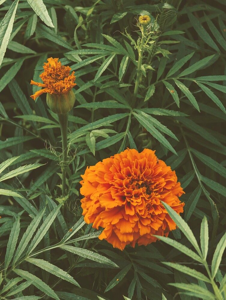 Photograph by Анастасия Логинова